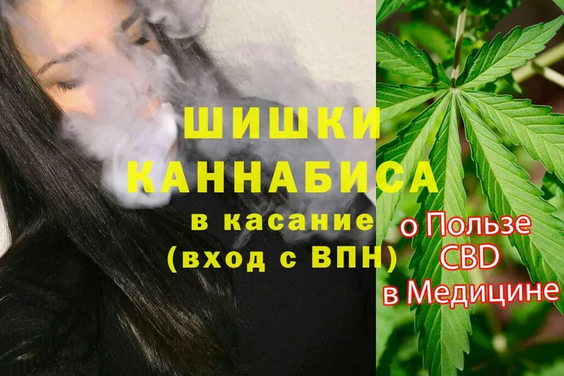 закладки  Жердевка  Бошки Шишки план 